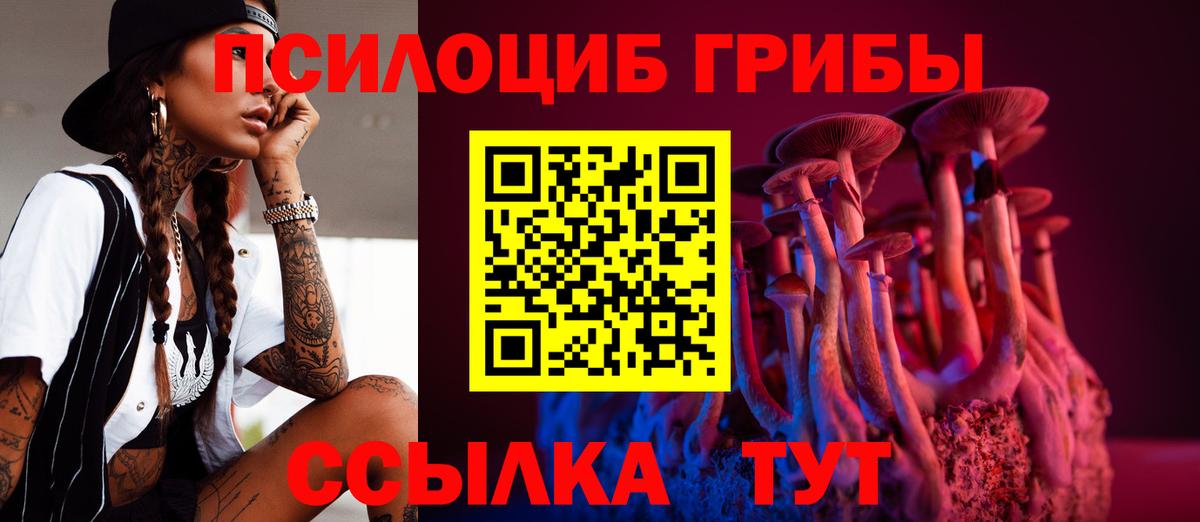 Дмитров  Псилоцибиновые грибы мухоморы  Вход с VPN 